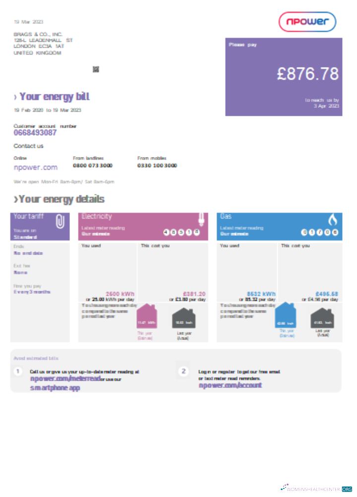 Download Npower utility business bill, version 1, SCR Photoshop template